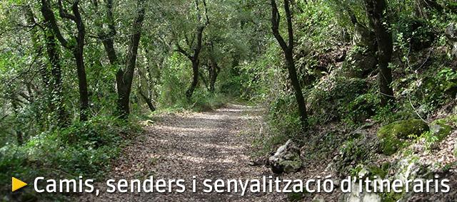 Camins, senders i senyalització d’itineraris Camins, senders i senyalització d’itineraris