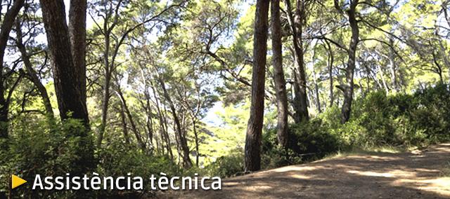 Assistència tècnica Assistència tècnica